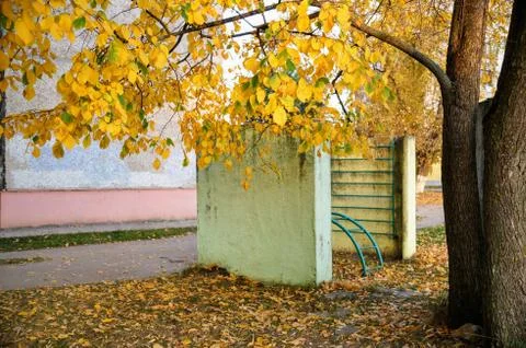 Autumn time Stock Photos