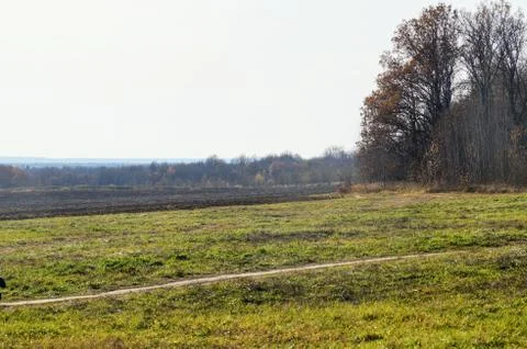 Autumn time Stock Photos