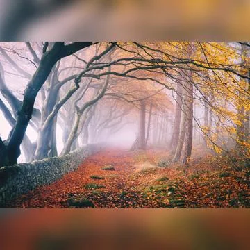 Autumn time Stock Photos
