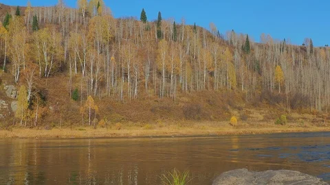 Autumn time river Stock Footage 96305187