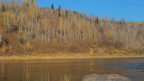 Autumn time river Stock Footage 96305213