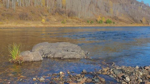 Autumn time river Stock Footage 96305228
