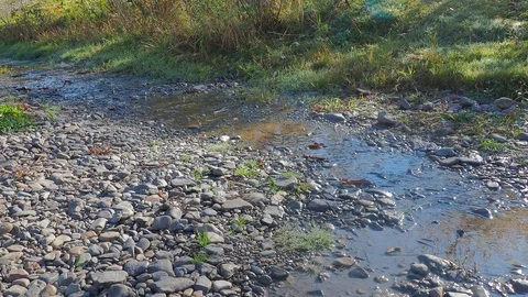 Autumn time river Stock Footage 96305308