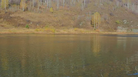 Autumn time river Stock Footage 96305370