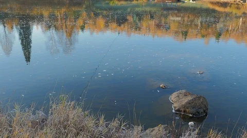 Autumn time river Stock Footage 96306442