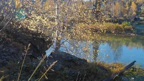 Autumn time river Stock Footage 96306493