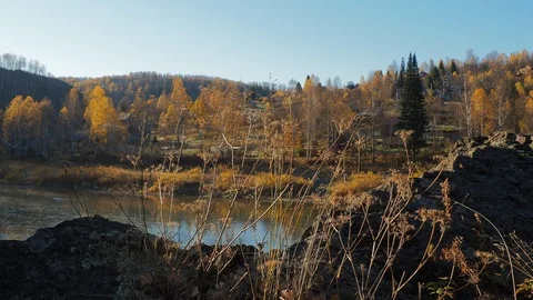 Autumn time river Stock Footage 96306517