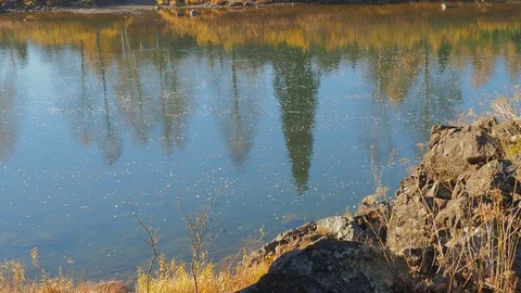 Autumn time river Stock Footage 96306535