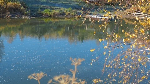 Autumn time river Stock Footage 96306560