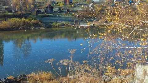 Autumn time river Stock Footage 96306595