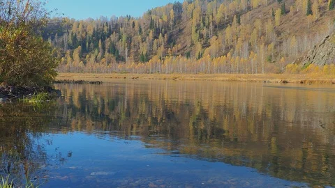 Autumn time river Stock Footage 96405505