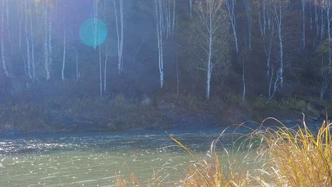 Autumn time river Video stock 96405529