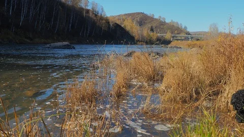 Autumn time river Stock Footage 96405538