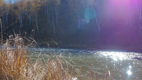 Autumn time river Video stock 96405539