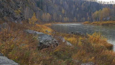 Autumn time river Video stock 96405735