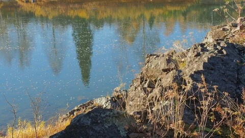 Autumn time river Video stock 96405825