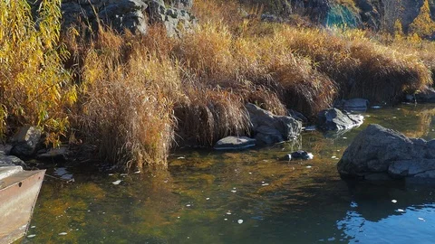 Autumn time river Video stock 96405971