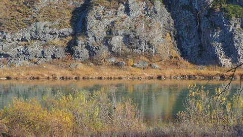 Autumn time river Video stock 96406111
