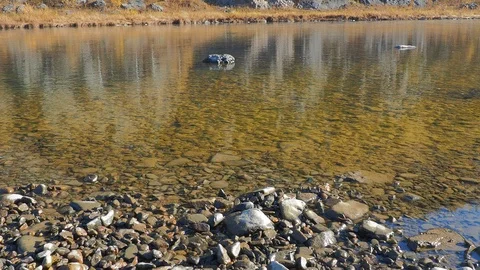 Autumn time river Video stock 96406203