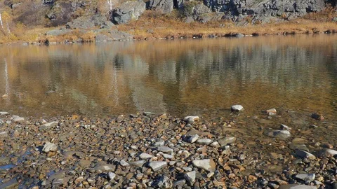 Autumn time river Video stock 96406244