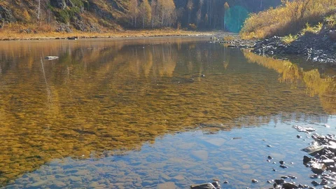 Autumn time river Stock Footage 96406358
