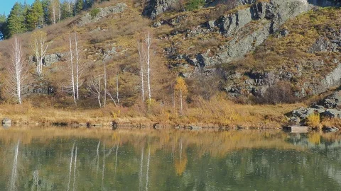 Autumn time river Stock Footage 96406488