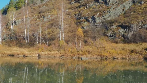 Autumn time river Stock Footage 96406568