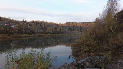 Autumn time river Stock Footage 96406642