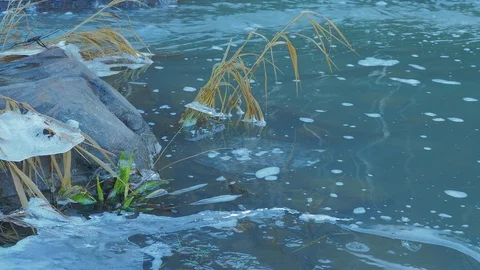 Autumn time river Stock Footage 97579527