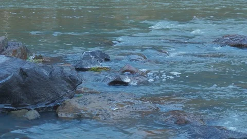 Autumn time river Video stock 97579766