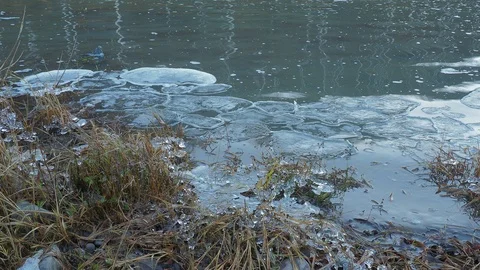 Autumn time river Stock Footage 97579872