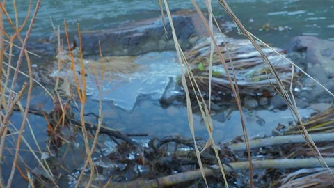 Autumn time river Video stock 97580146