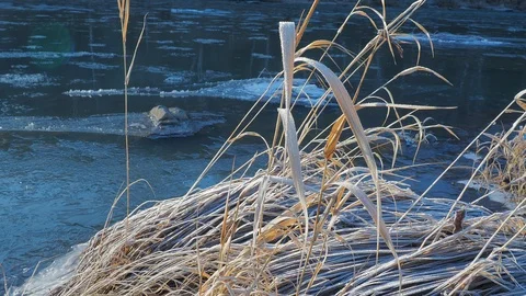 Autumn time river Video stock 97810830