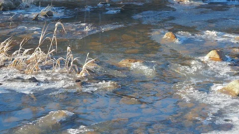 Autumn time river Video stock 97810857