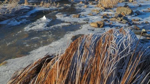 Autumn time river Video stock 97810866