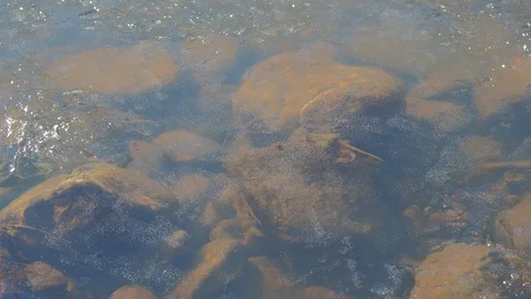 Autumn time river Video stock 97810872