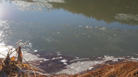 Autumn time river Stock Footage 97810902