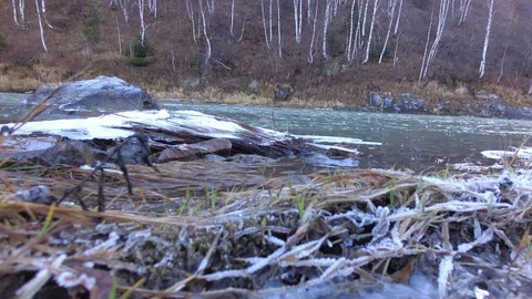 Autumn time river Stock Footage 97810917