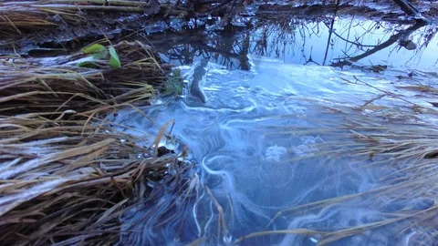 Autumn time river Stock Footage 97810987