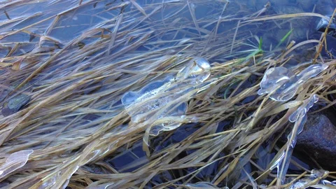 Autumn time river Stock Footage 97810992