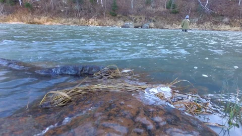 Autumn time river Stock Footage 97811016