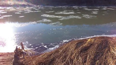 Autumn time river Stock Footage 97811045