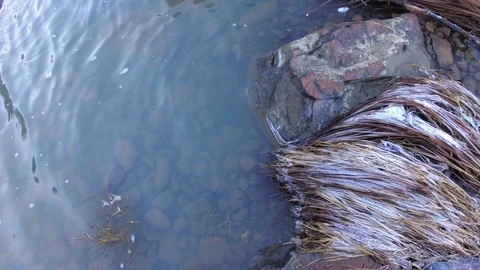 Autumn time river Stock Footage 97811055