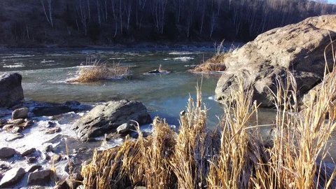 Autumn time river Video stock 97811069