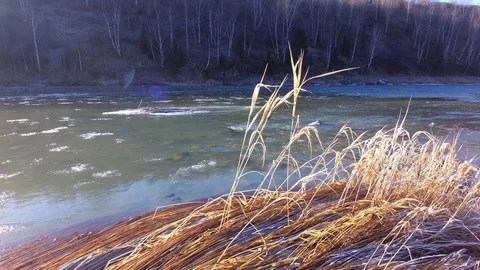 Autumn time river Stock Footage 97811081