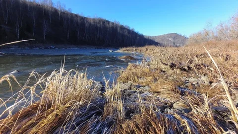 Autumn time river Stock Footage 97811091