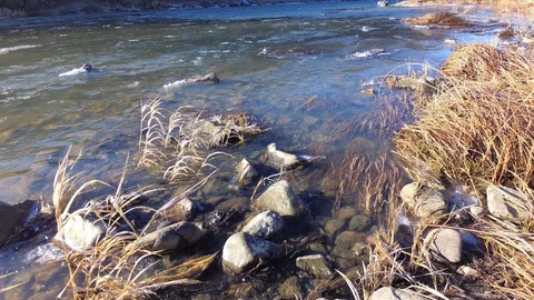 Autumn time river Stock Footage 97811100