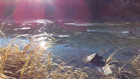 Autumn time river Stock Footage 97811110