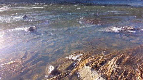 Autumn time river Stock Footage 97811117