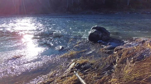 Autumn time river Stock Footage 97811128